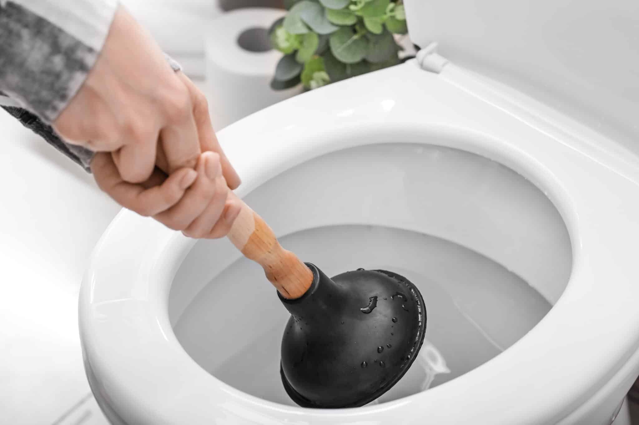 What to buy to deals unclog a toilet